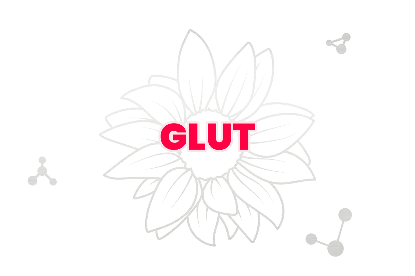 GLUT